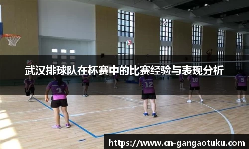 武汉排球队在杯赛中的比赛经验与表现分析
